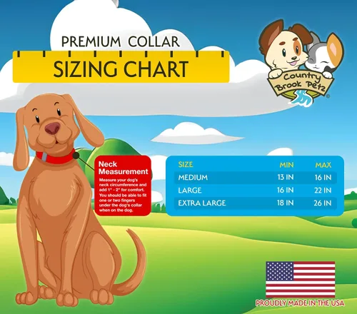Miniatura 2 de Country Brook Petz HossFit Jr - Collar ancho de alta calidad para perro, colección Americana con diseños patrióticos (celebración americana, mediano)