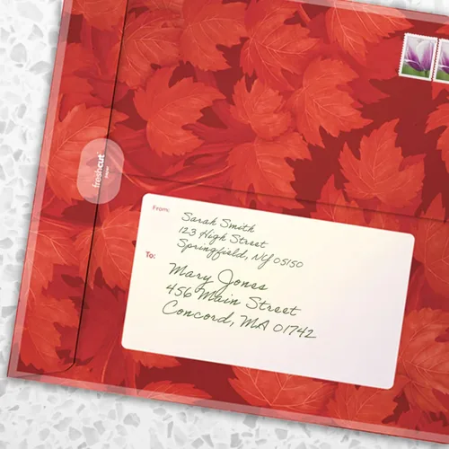 Miniatura 4 de Freshcut Paper Tarjetas desplegables, árbol de arce rojo, ramo de flores de tamaño real de 12 pulgadas, tarjeta de felicitación emergente 3D