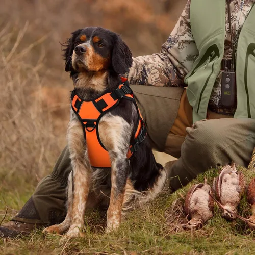 Miniatura 6 de WINGOIN Arnés táctico naranja para perros medianos, arnés resistente sin tirones con asa, chaleco militar reflectante ajustable para mascotas K9