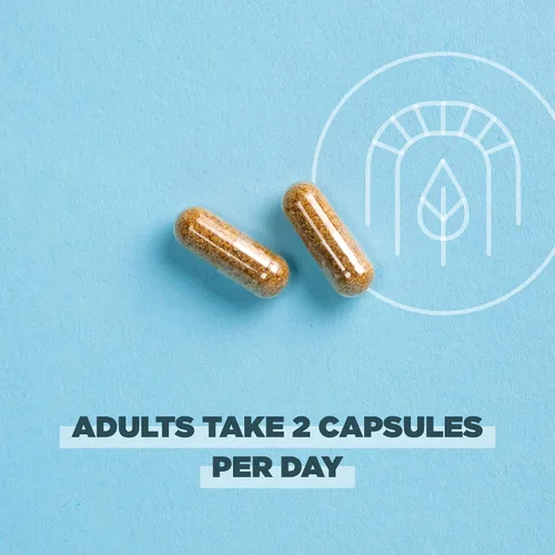 Miniatura 4 de Ancient Nutrition Cápsulas regenerativas orgánicas certificadas SuperFruits, apoya la salud intestinal y del sistema inmunológico, hechas