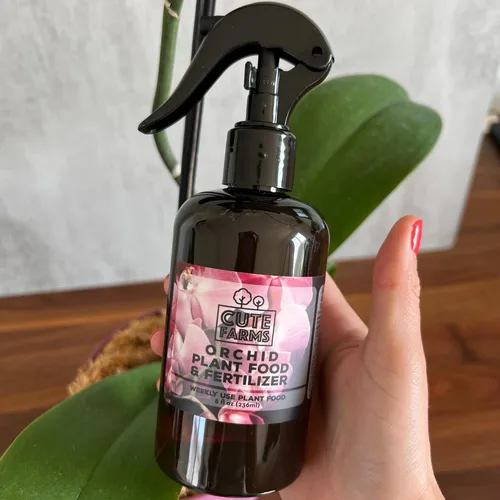 Miniatura 6 de Cute Farms Fertilizante en Aerosol para Plantas de Orquídea (Botella de Spray de 8 oz + UN Rociador de Agua)