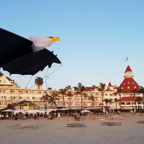 Miniatura 3 de Revolution Kites 3D Eagle Quad-Line Stunt Wing de 8 pies (novicios a profesionales) - Diseño de fibra de carbono ultraligero - Lanzamiento desde