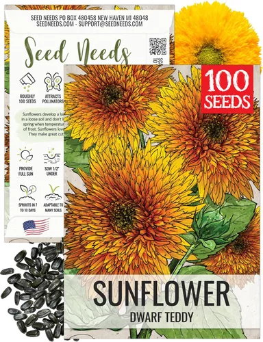 Miniatura 62 de Seed Needs Semillas de girasol para plantar girasoles de manchas solares enanas, semillas de flores de corte anual de polinización abierta