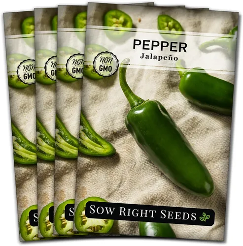 Miniatura 9 de Sow Right Seeds - Semilla de pimiento jalapeño para plantar - Paquete de reliquia sin OMG con instrucciones para plantar un huerto en el hogar al