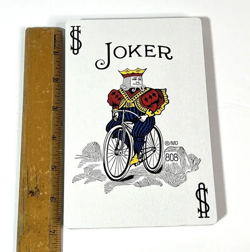 Miniatura 4 de Caja grande de bicicleta
