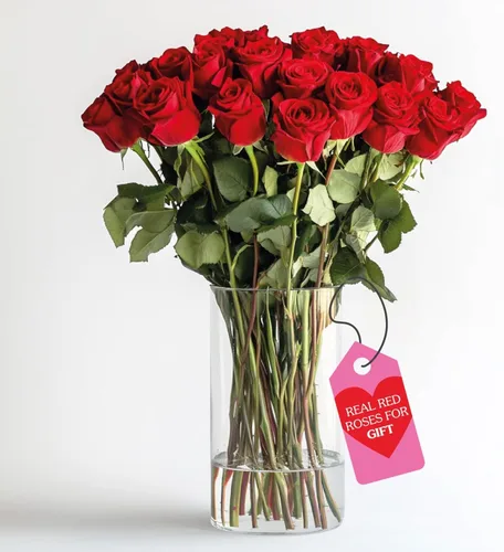 Miniatura 37 de GlobalRose Ramo de 50 rosas surtidas, rosas de origen responsable, flores frescas, ramo fresco de flores seleccionadas a mano para el día