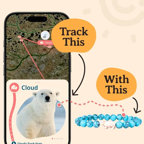 Miniatura 4 de Fahlo Pulsera de seguimiento de oso polar Rastrea el viaje de un oso polar real Apoya la conservación de la vida silvestre Elástica, talla única