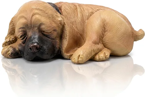 Miniatura 10 de Baluue Oculta una llave afuera, ocultador de llave de repuesto para perro negro, resistente a la intemperie, de resina segura, caja