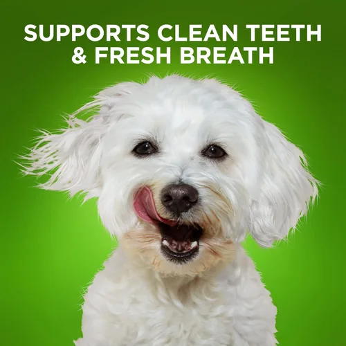 Miniatura 4 de Fruitables Bioactive Fresh Mouth - Masticables dentales, golosinas para perros pequeños, suministros para mascotas, golosinas de limpieza