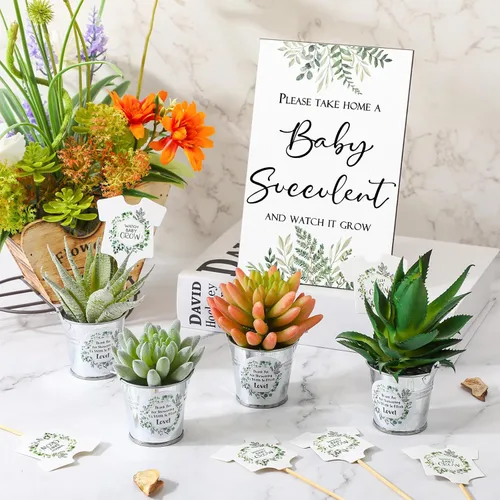 Miniatura 4 de Fulmoon 151 piezas de regalos de baby shower para invitados incluyen 1 letrero de vegetación, 50 etiquetas de reloj para suculentas, 50 cubos
