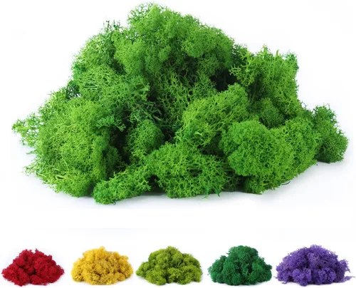 Miniatura 9 de Musgo de reno preservado de musgo falso de 3.5 onzas para plantas en maceta, artes y manualidades, terrarios, decoración de pared, centros de mesa