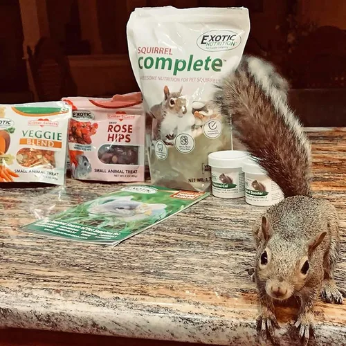 Miniatura 6 de Paquete de iniciación de alimentos para ardillas, incluye dieta nutricionalmente completa, golosinas naturales y suplementos vitamínicos saludables