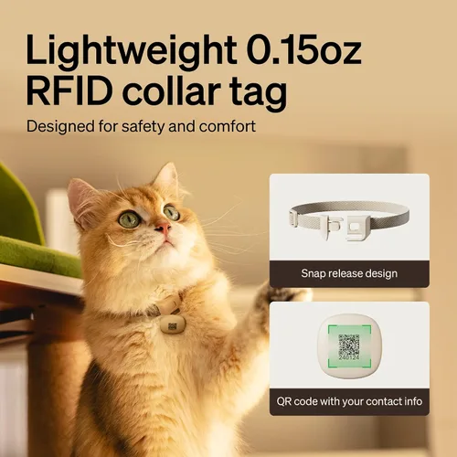 Miniatura 8 de PETLIBRO Alimentador automático RFID para gatos, comidas personalizadas activadas con etiqueta de collar, dispensador de comida programable Wi-Fi 5G