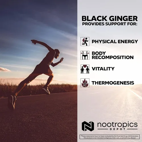 Miniatura 4 de Nootropics Depot Cápsulas de extracto de jengibre negro 10% 5,7-dimetoxiflavona 60