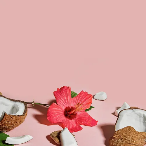 Miniatura 8 de SheaMoisture Hidratar y definir champú, acondicionador y leche de peinado para el cuidado del cabello rizado coco e hibisco con manteca de karité