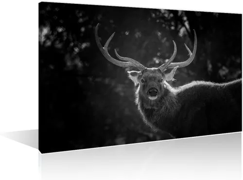 Miniatura 20 de Arte de pared en blanco y negro con diseño de vaca escocesa de las tierras altas en la Isla de Mull impresiones sobre lienzo, decoración del hogar