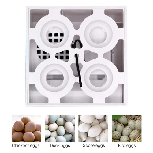 Miniatura 4 de Incubadora de huevos digital con eclosión de huevos pequeña casa con control de temperatura automático digital máquina profesional de incubación