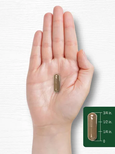 Miniatura 7 de Carlyle Cápsulas de trébol rojo 200 unidades Trifolium Pratense Suplemento de extracto de flor de trébol rojo Sin OMG, sin gluten