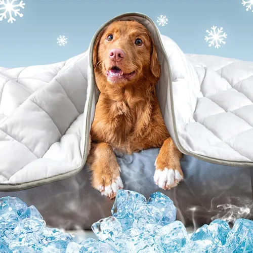 Miniatura 9 de Leekalos Tapete refrescante para perros, almohadillas refrescantes para mascotas para perros, manta refrescante de verano para gatos, cojín portátil