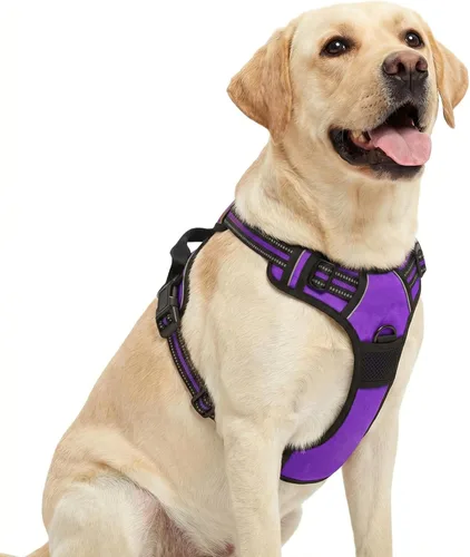 Miniatura 5 de Funfox Arnés para perro sin tirones, chaleco ajustable para mascotas con asa de control y clip frontal, diseño reflectante para perros pequeños