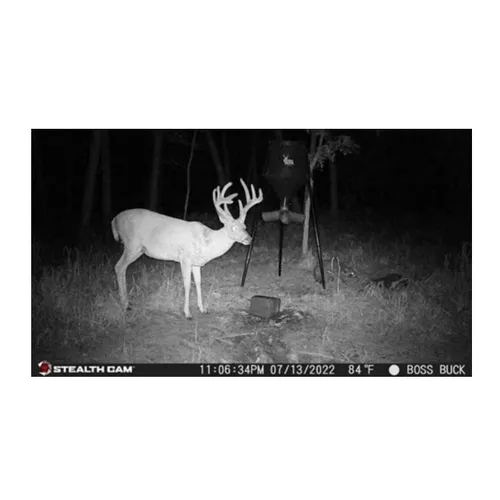 Miniatura 7 de Cámara de juego No-Glo STC-G42NG de Stealth Cam, Multi, Paquete de 10