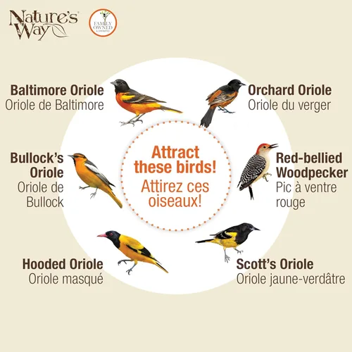 Miniatura 5 de Nature's Way OFP1 Comedero Todo en Uno para Orioles, Naranja