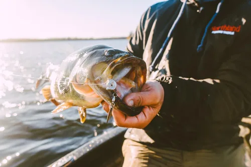 Miniatura 2 de Northland - Cabeza de plantilla de aparejos de pesca de meltinador Underspin, plantilla de pesca de lubina premium para cebos de natación