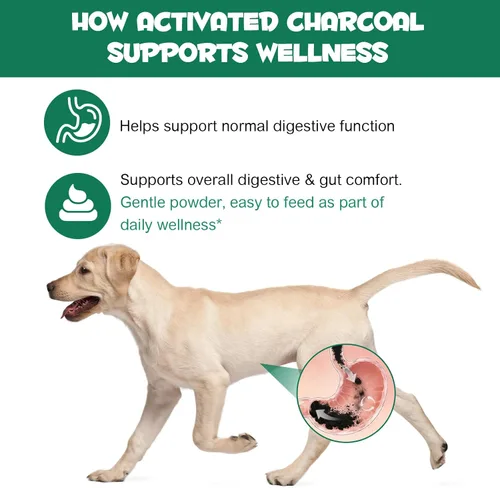 Miniatura 3 de ALIVO Polvo de carbón activado para perros, gatos, suplemento de salud en polvo de carbón activado, apoya el bienestar digestivo y la frescura oral