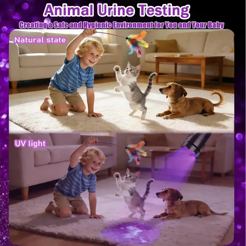 Miniatura 2 de Linterna UV 365nm Linterna de luz negra, potente linterna ultravioleta para manchas de orina de mascotas, pegamento UV curado, escorpiones, resina