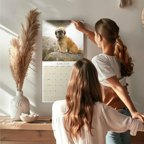 Miniatura 2 de Razas de Perros 2017 Shih Tzu