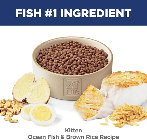 Miniatura 4 de Hill's Science Diet Comida seca para gatos gatitos, pescado marino y arroz integral, bolsa de 7 libras