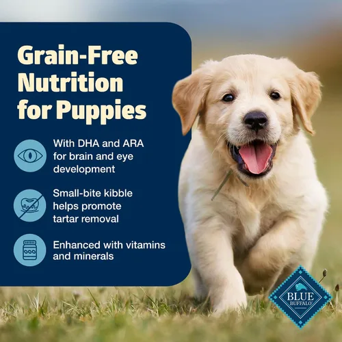 Miniatura 3 de Blue Buffalo Freedom - Alimento seco para cachorros sin granos con DHA, nutrición completa y equilibrada para cachorros, fabricado en los Estados