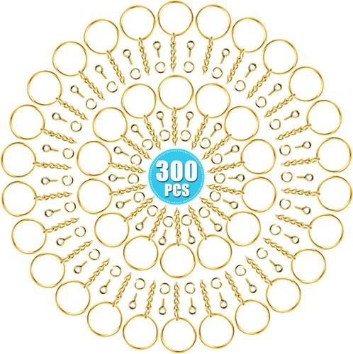 Miniatura 7 de Paxcoo 100 llaveros con cadena y 100 pines de ojo de tornillo a granel para manualidades Plata