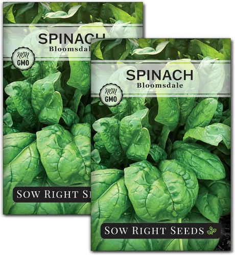 Sow Right Seeds - Semillas de espinaca Bloomsdale para plantar - Paquete de reliquia sin OMG con instrucciones para plantar y cultivar un huerto en