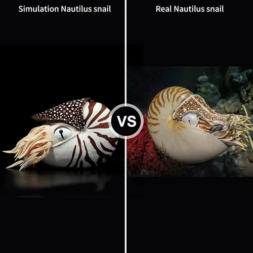 Miniatura 7 de Nautilus - Animal de peluche realista de Nautilus, juguete realista de Nautilus de 8 pulgadas, peluche suave de criaturas marinas modelo Nautilus