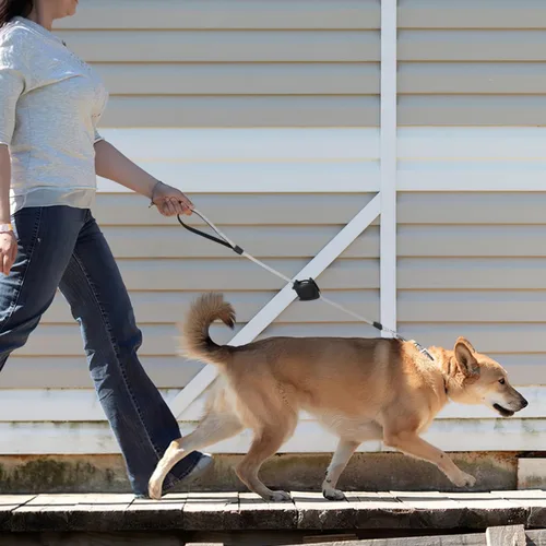 Miniatura 5 de Alipis Correa retráctil para perros pequeños, cuerda de tracción telescópica automática con mango ergonómico, agarre cómodo para entrenamiento