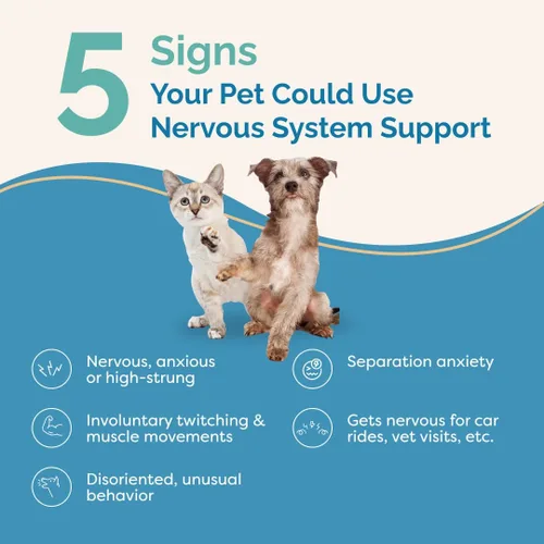 Miniatura 2 de PranaPets Apoyo del sistema nervioso para perros y gatos Fórmula herbaria ayuda de forma segura a reducir el nerviosismo, movimientos musculares