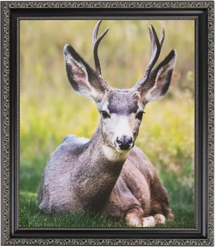 Miniatura 7 de ArtToFrames Marco de fotos negro de 24x36 pulgadas, este marco para póster personalizado de 1.25 pulgadas es negro antiguo - viene con acrílico