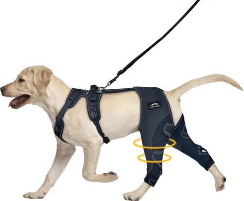 Perro ACL Brace pata trasera – Mantiene las articulaciones calientes y estables, soporte ajustable mejorado para las piernas, arnés personalizado