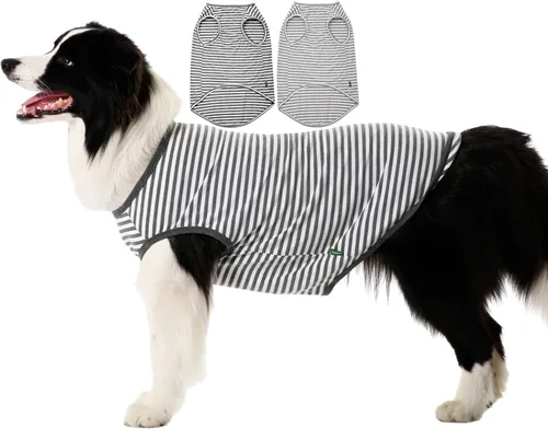 Miniatura 28 de Camisa azul en blanco para perros,Camisetas grandes para perros y niñas,Camiseta lisa de bulldog francés,L azul real Azul y Royal