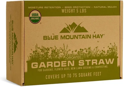 Blue Mountain Hay - Pajita de jardín orgánica (5 libras) | Mantillo de paja para jardines de camas elevadas, paisajismo de patio, plantaciones de