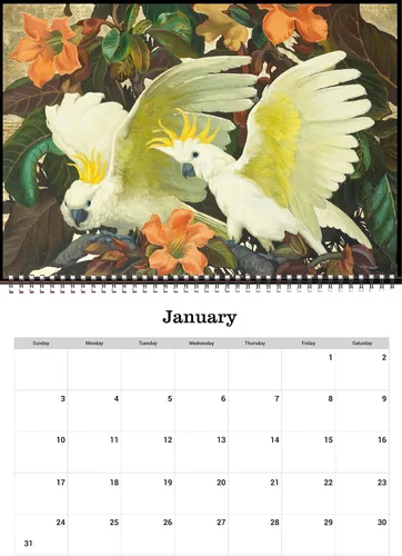 Miniatura 3 de Calendario de pared 2026 [13 páginas de 8 x 12 pulgadas] FANTASTIC BIRDS Vintage Modern Museum Art Retro Poster Peacock Flamingo Loro