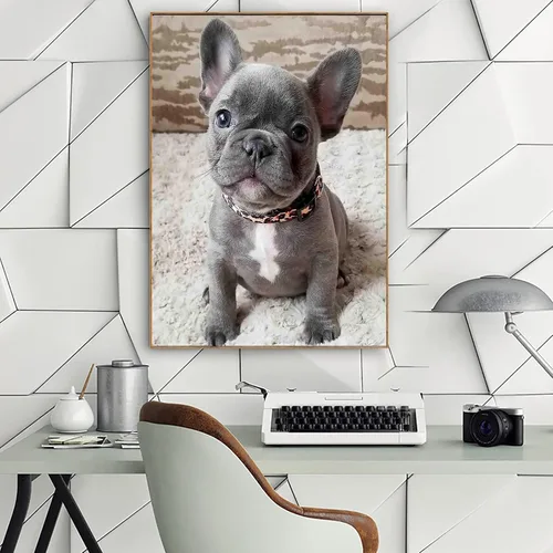 Miniatura 3 de QAZWSX Pintura de diamante redondo completo para adultos, diseño de perro Bulldog francés, bordado de cristal, manualidades por números, kit