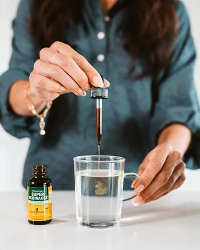 Miniatura 5 de Herb Pharm Extracto Líquido de Súper Equinácea Orgánica Certificada para Apoyo Activo del Sistema Inmunológico - 4 Oz