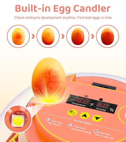 Miniatura 5 de Incubadora de 12 huevos para incubar huevos, control inteligente de temperatura y humedad, giro automático de huevos, incubadora para incubar pollo