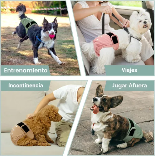 Miniatura 7 de Pañales lavables para perras – Pañales reutilizables de primera calidad para perras en celo – Pañales para perras altamente absorbentes