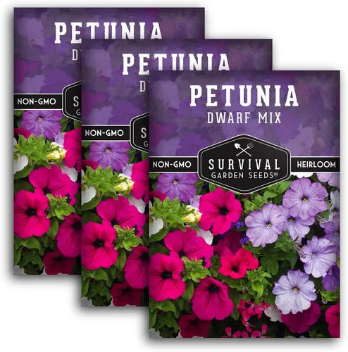 Mezcla de semillas de petunia enana para plantar, planta y cultiva flores coloridas para atraer polinizadores al jardín de tu hogar, variedad de