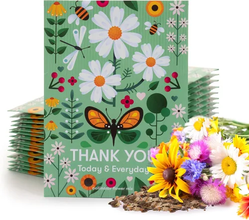 Miniatura 11 de Bentley Seed Co. Paquete de agradecimiento – Mezcla de polinizador de mariposas – 25 paquetes de semillas – Regalo de agradecimiento ecológico