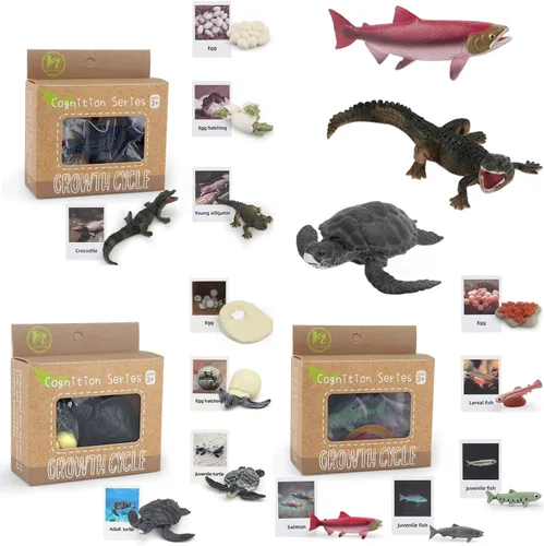 Miniatura 13 de Montessori Life Cycle Animal Insect Figurines Juguetes de aprendizaje y educación, juguetes de insectos de plástico para niños, actividades