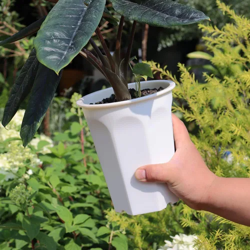 Miniatura 9 de Juego de 8 macetas de plástico blanco de 6.10 pulgadas para vivero profundo y semillero para suculentas, cortes y trasplantes